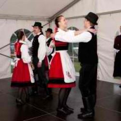 image dsc03337-300x199-jpg
