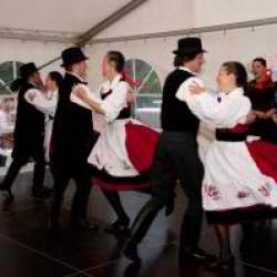 image dsc03352-300x199-jpg