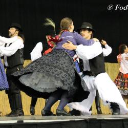 image img_7021-jpg