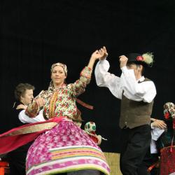 image img_7220-jpg