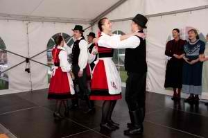 image dsc03337-300x199-jpg