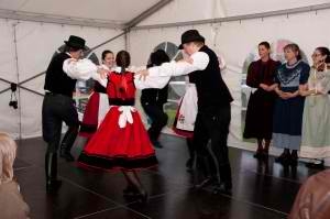 image dsc03344-300x199-jpg