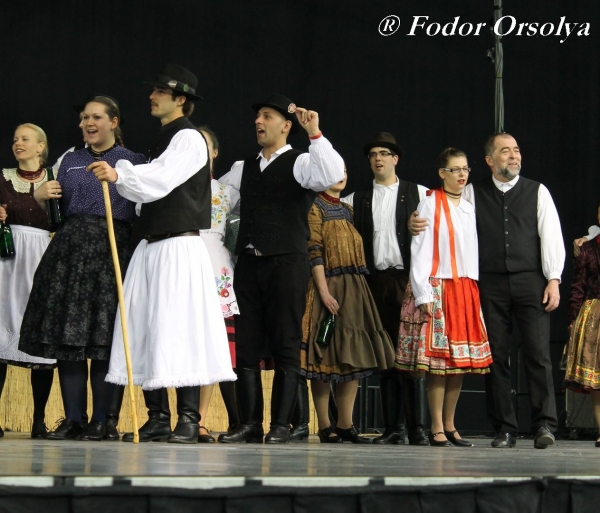 image img_6846-jpg