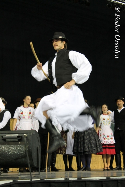 image img_6850-jpg