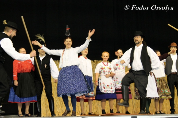 image img_6868-jpg