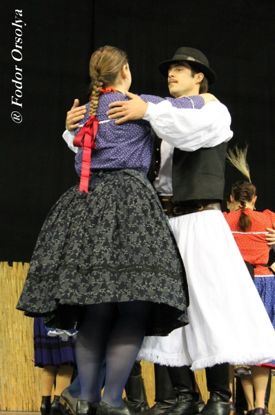 image img_6917-jpg
