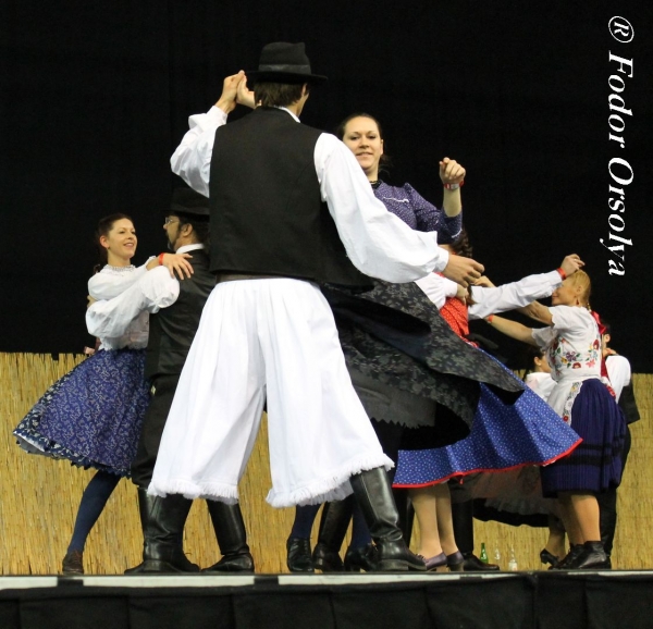 image img_6946-jpg