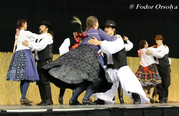 image img_7021-jpg