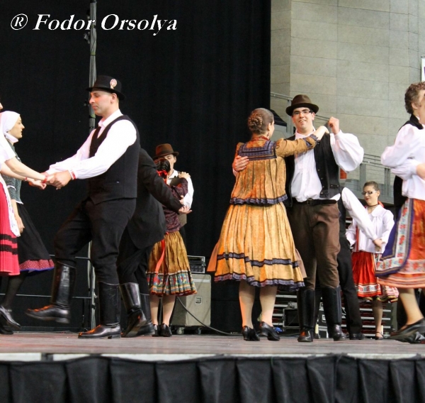 image img_7030-jpg