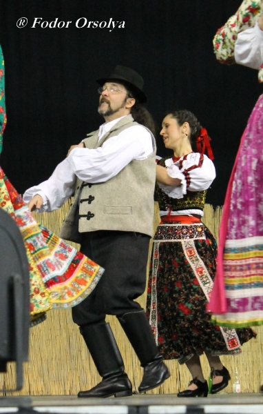 image img_7309-jpg