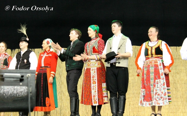 image img_7333-jpg