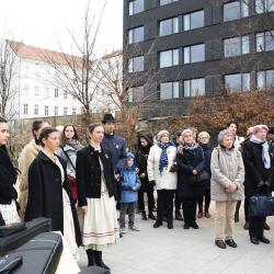 image 54515128_353290275394021_6793337694635163648_n-jpg