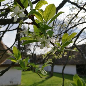 Àldott Húsvétot!Wir wünschen euch ein gesegnetes Osterfest!