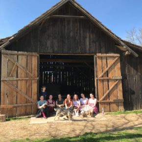 Délibáb Kiscsőszön új koreográfiát tanultDélibáb hat in Kiscsősz eine neue Choreographie gelernt
